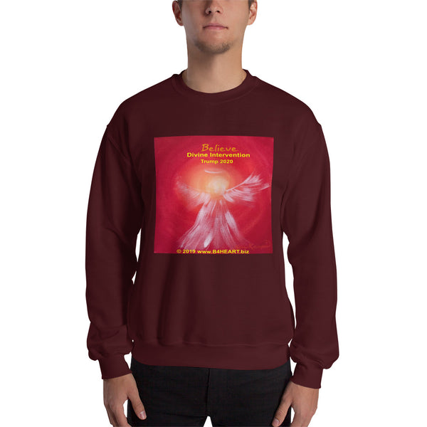 Sweatshirt Believe! Divine Intervention... Trump 2020!